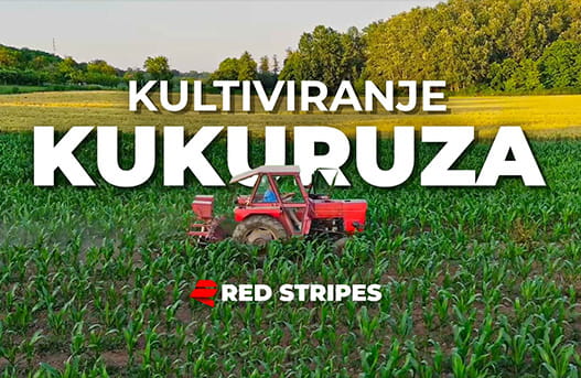 Reklama
